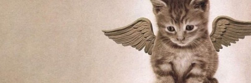 musehaum's profile banner image