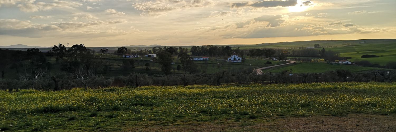 moisesgala's profile banner image