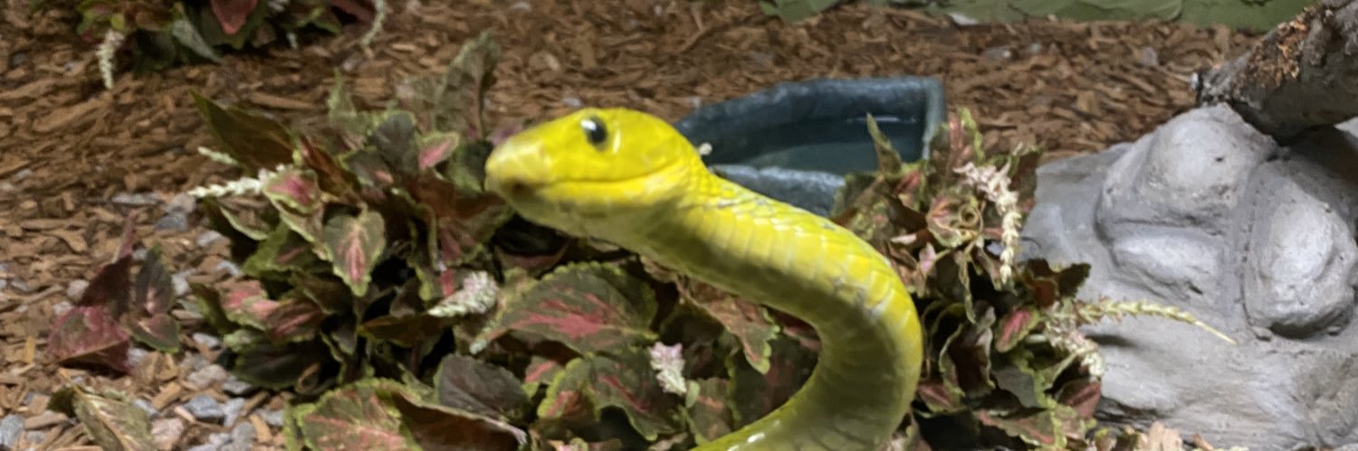 elijahfelstead's profile banner image
