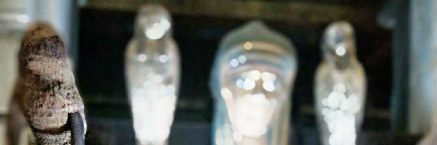 VenusdeXico's profile banner image