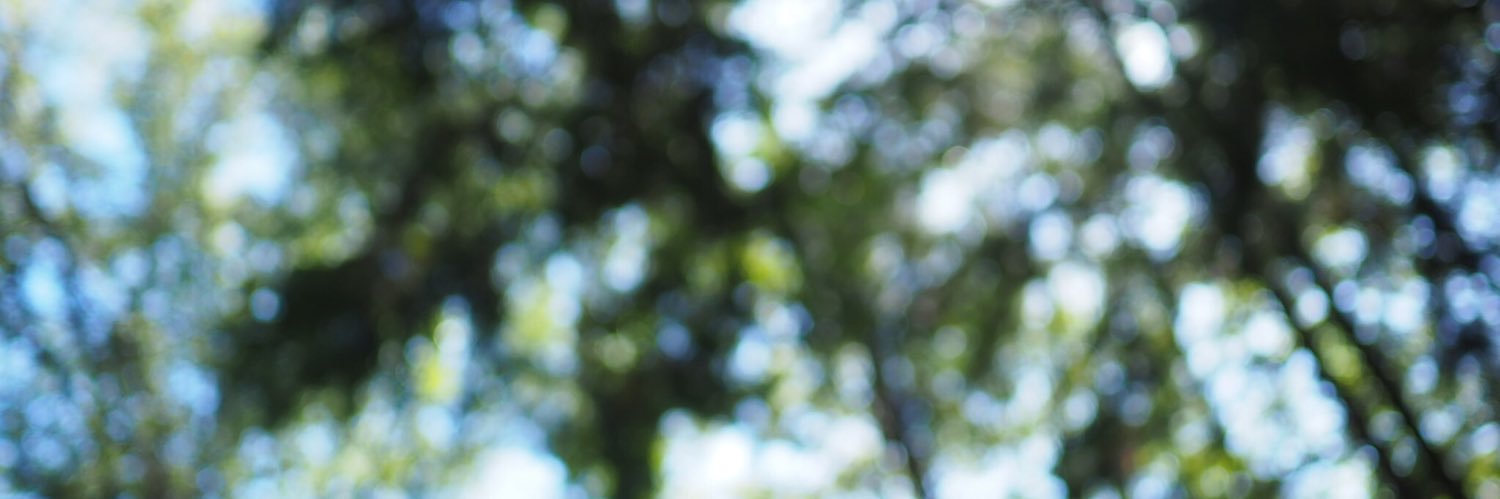 mTrK326's profile banner image