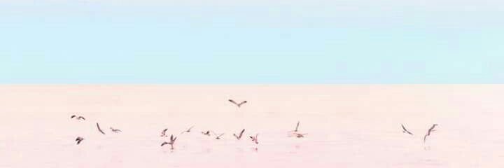 Maaaricarol's profile banner image