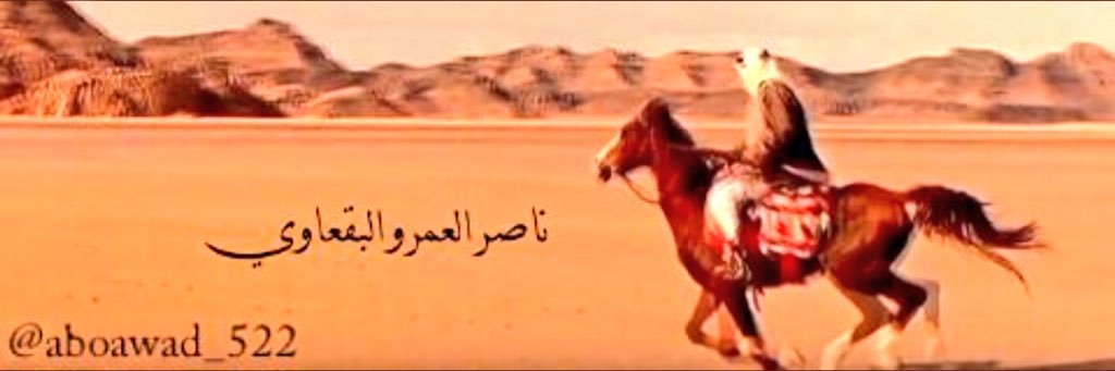 ناصر العمرو البقعاوي banner
