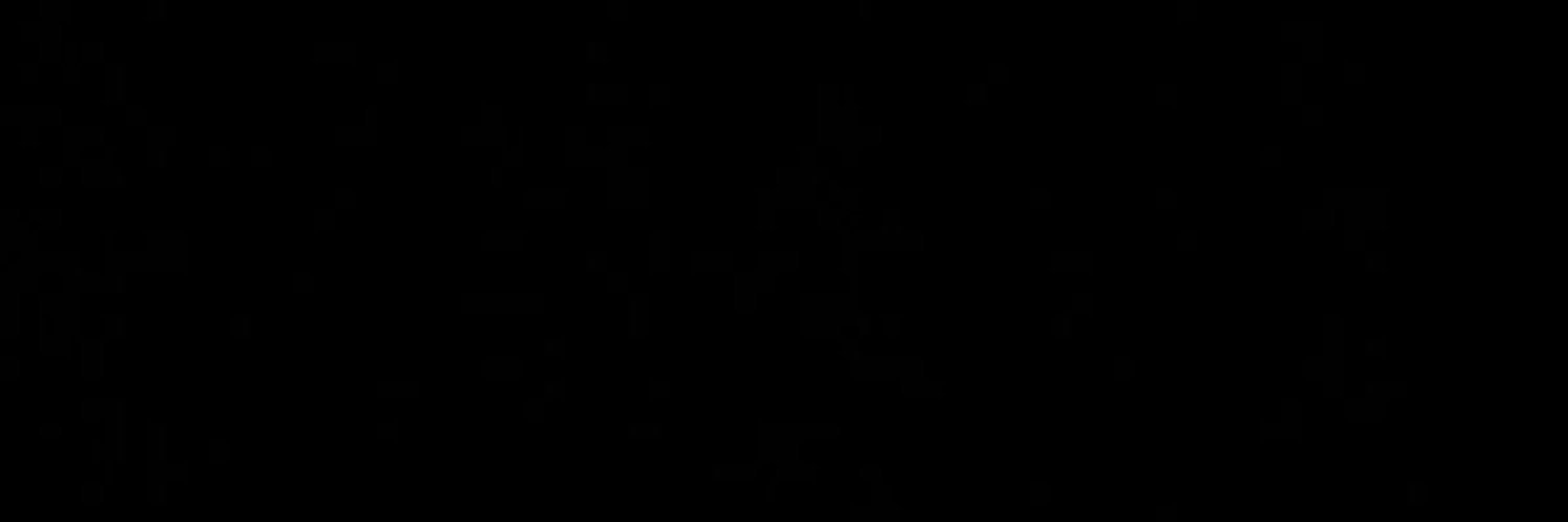 ִ banner