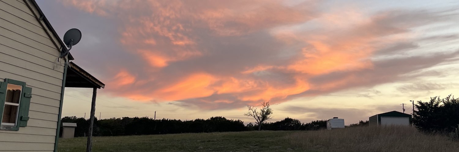 DelisaEnriquez's profile banner image