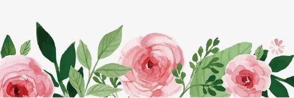 wee2aa's profile banner image