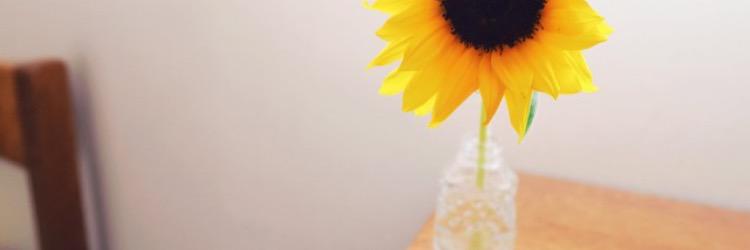 ____aa__lii's profile banner image