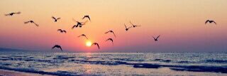 manoor_418's profile banner image