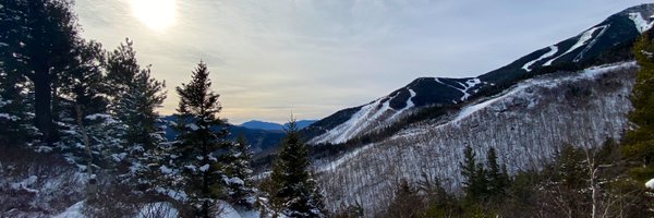 RobinSelvyRe Profile Banner