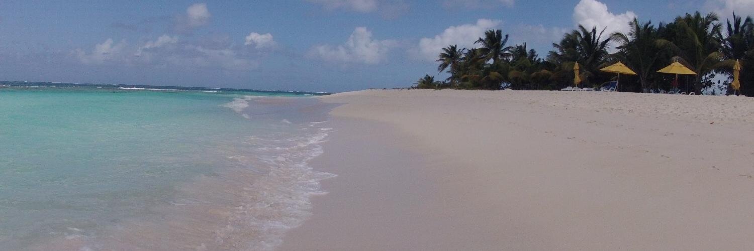 Beach Snob 🇨🇦 banner