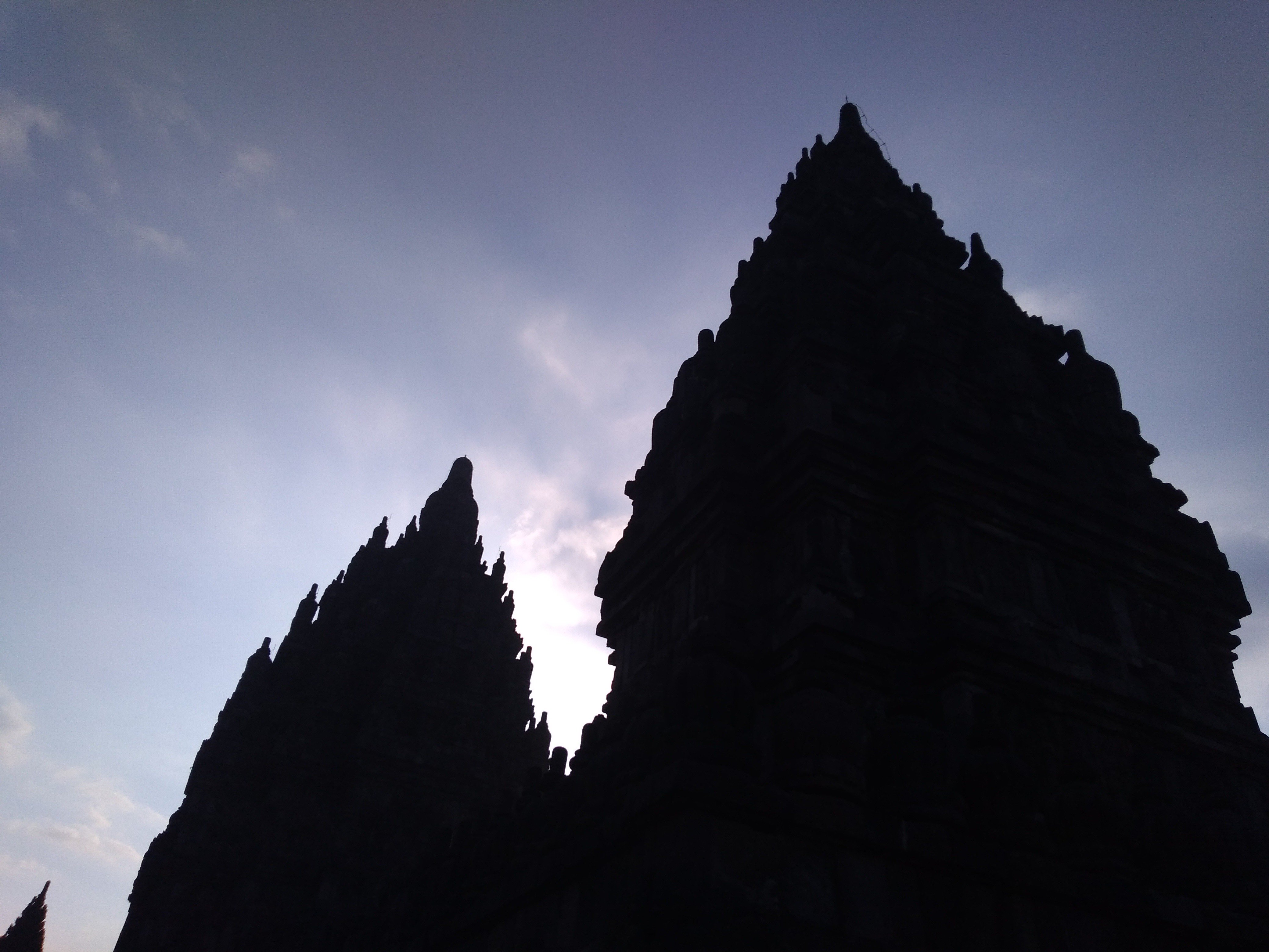 mencit banner