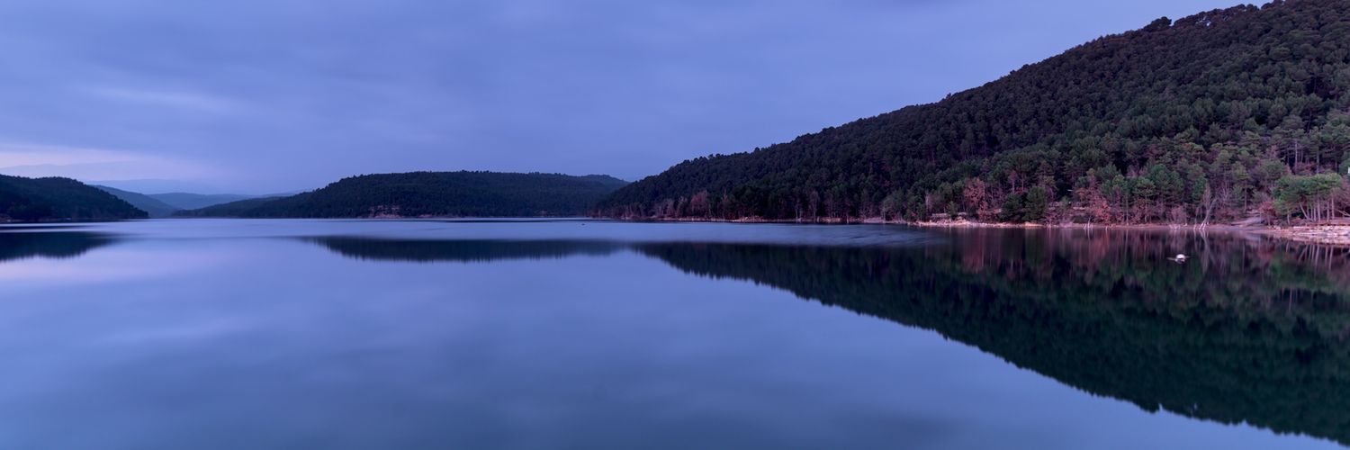 Ester Barrera banner