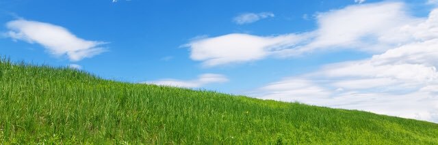 fussan_tea's profile banner image