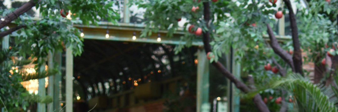 NSPmac's profile banner image