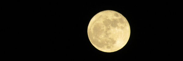 boogszace Profile Banner