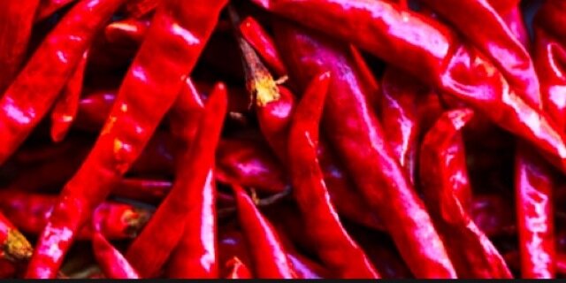 pisforpepper's profile banner image