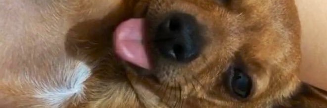 marcelarosa21's profile banner image