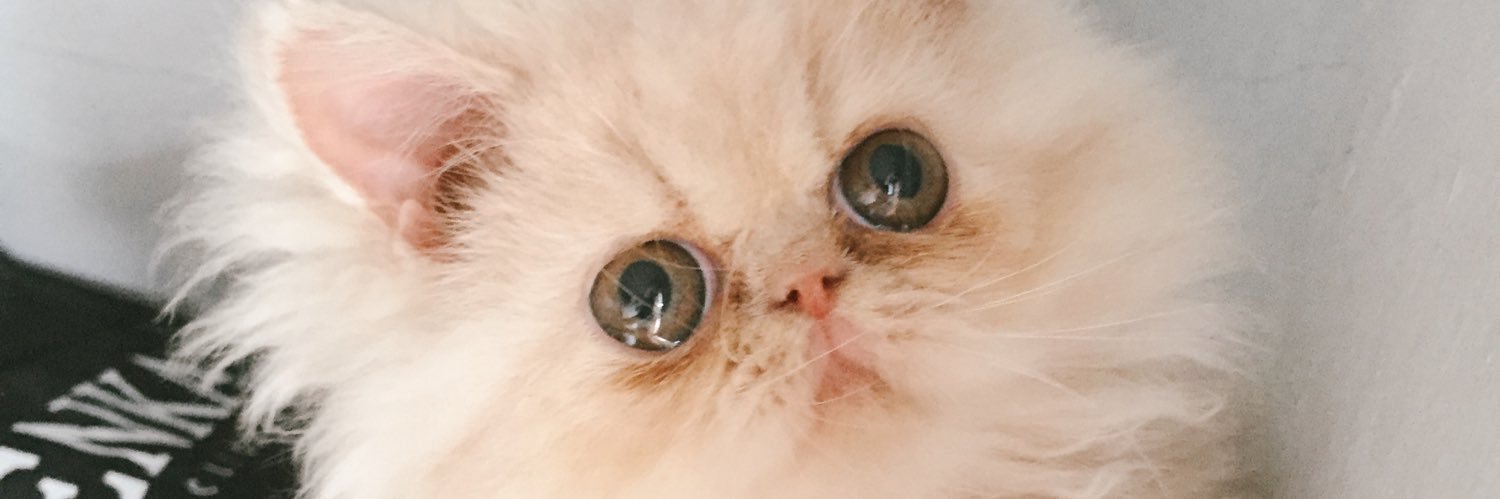 iamndac's profile banner image