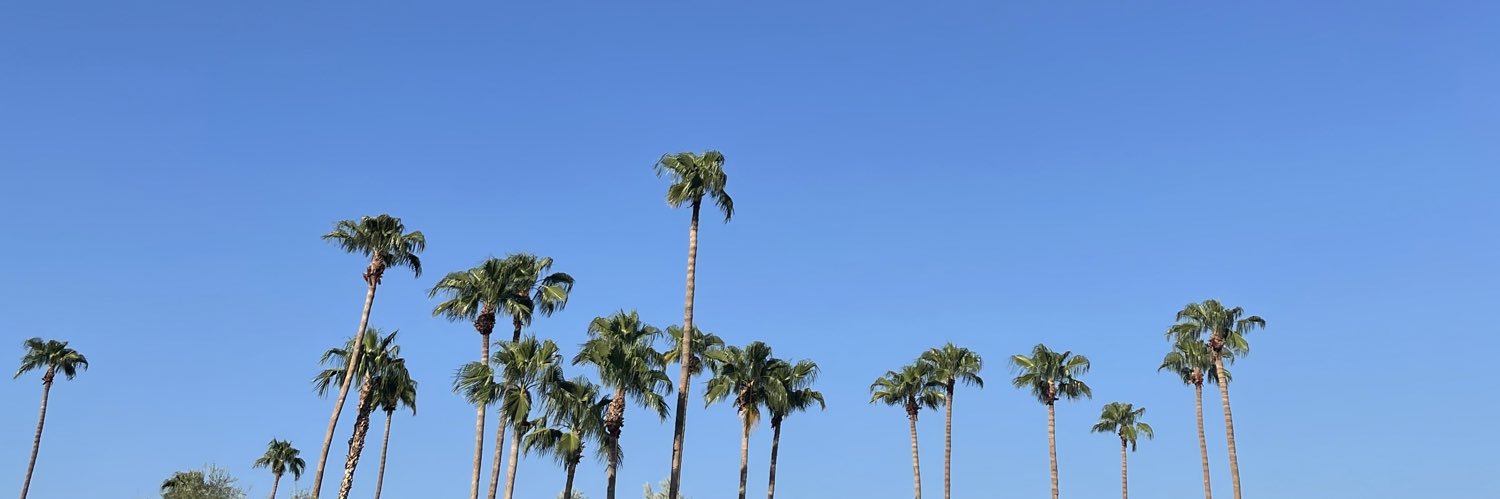 dizzyassbxtch's profile banner image
