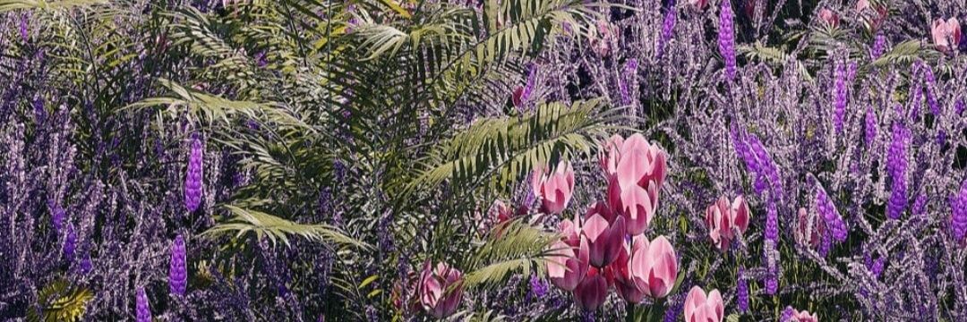 💜🤍백만번째 인연🤍💜 banner