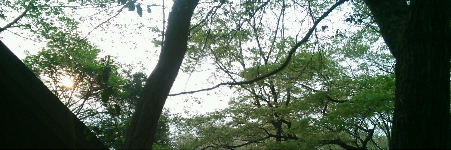 moriotomemo's profile banner image