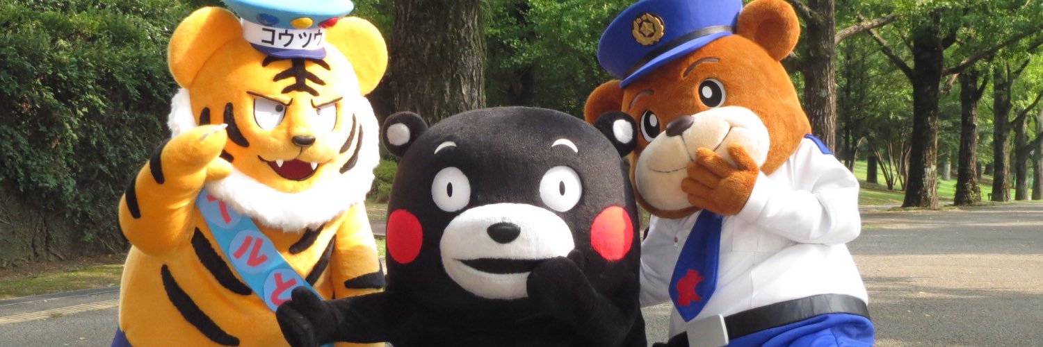 shulvsa's profile banner image