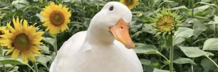its_kyra_yo's profile banner image