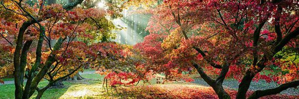 Over50AndFrumpy Profile Banner