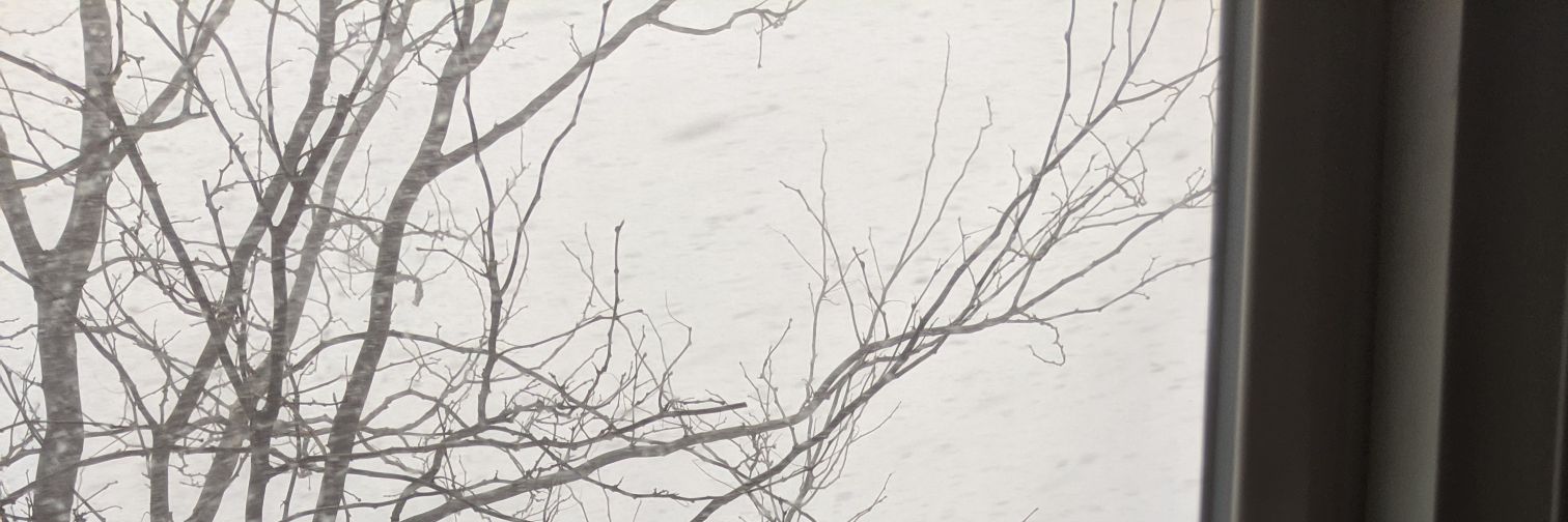 Grant Carlson banner