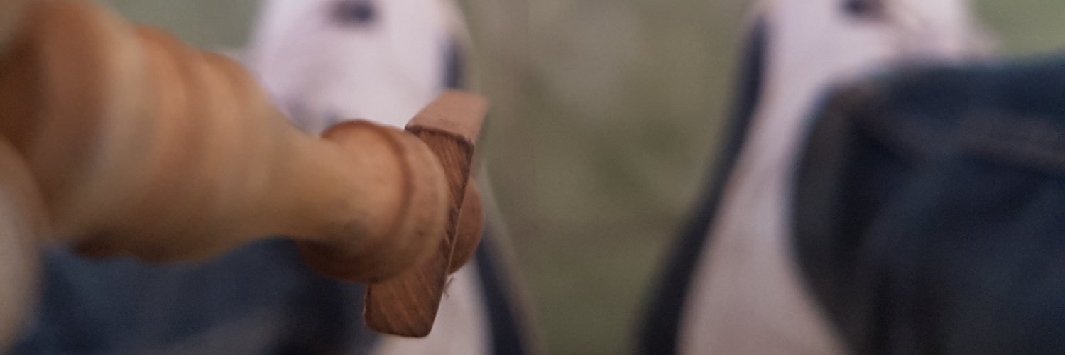 herykatommy's profile banner image