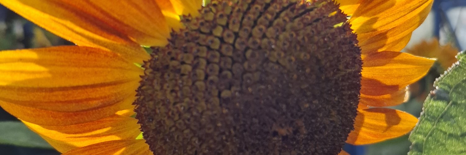 Rebecs1984's profile banner image
