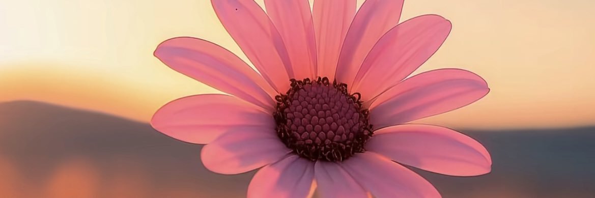 698d87aaa6614bf's profile banner image