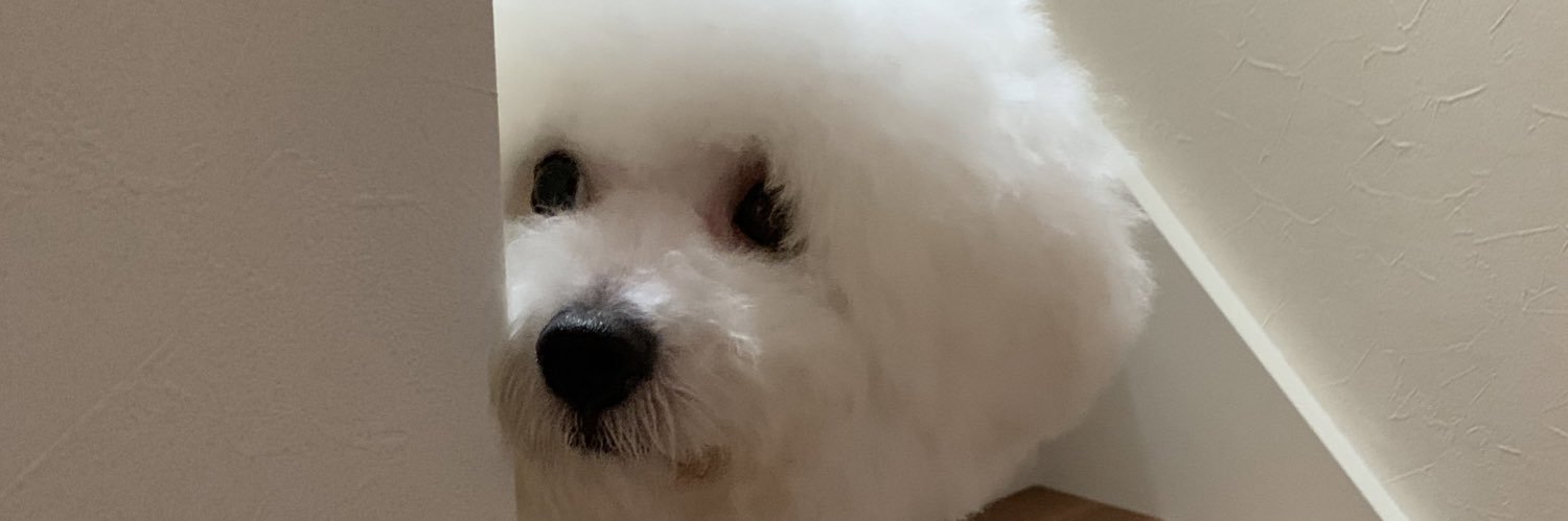 hamerod's profile banner image