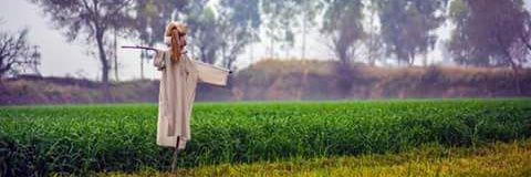 amankhatkar63's profile banner image