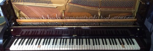 ronchaliha Profile Banner