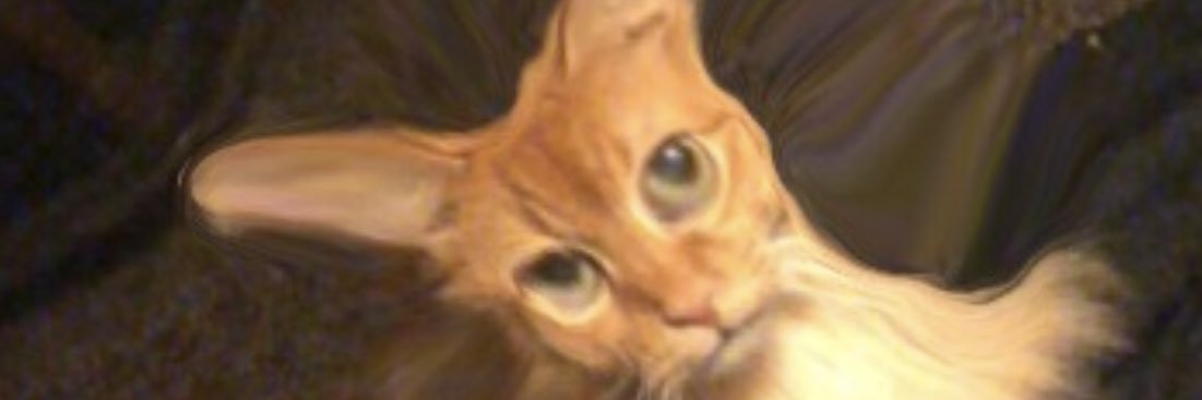 HCFitch's profile banner image