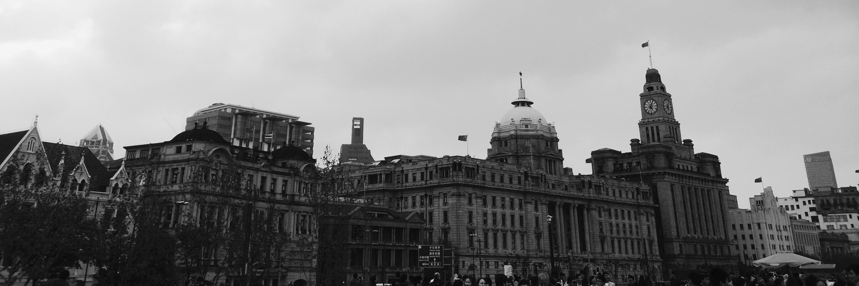 rosechiux's profile banner image