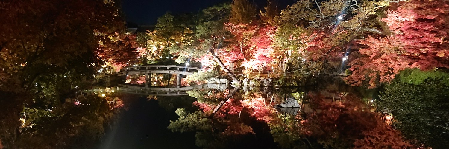 xz4811's profile banner image