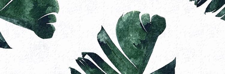 britneynm_'s profile banner image