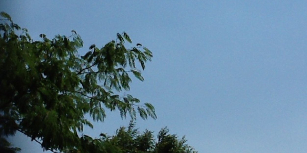 Mathilde_prdx's profile banner image