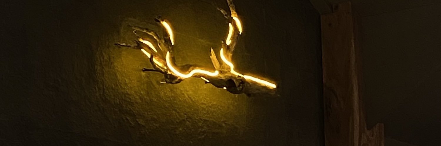 vcamary's profile banner image