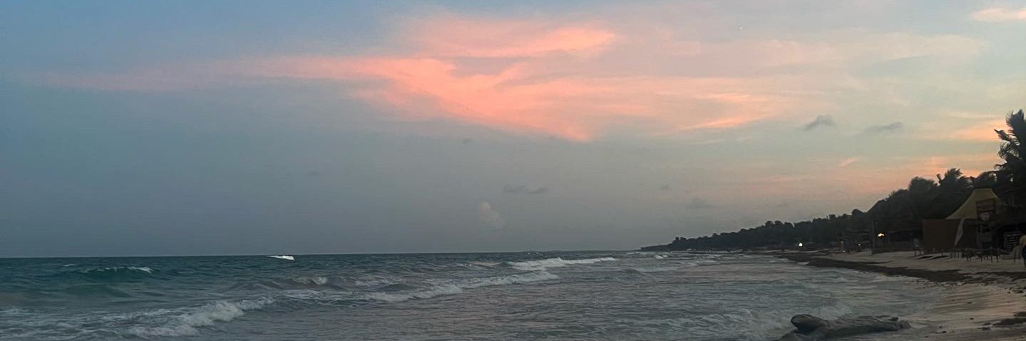 zweetnothingz's profile banner image