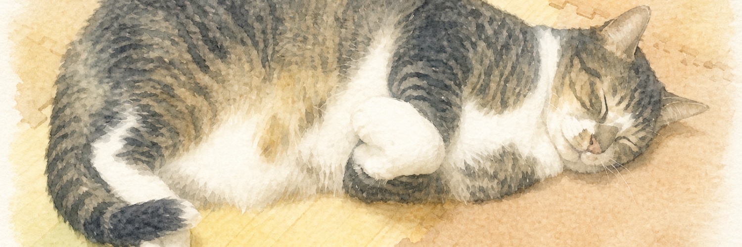 3ba_rio's profile banner image