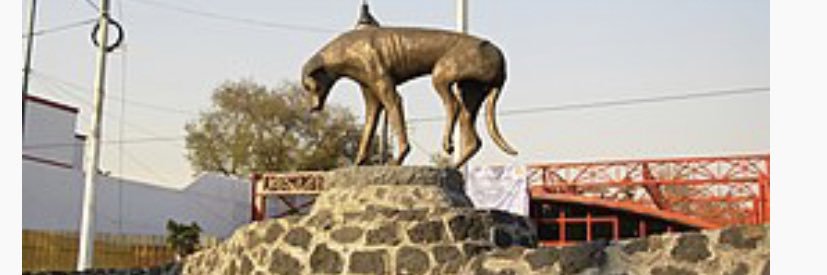 Carmen Rodríguez banner