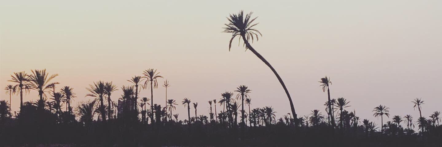thatjenpen's profile banner image