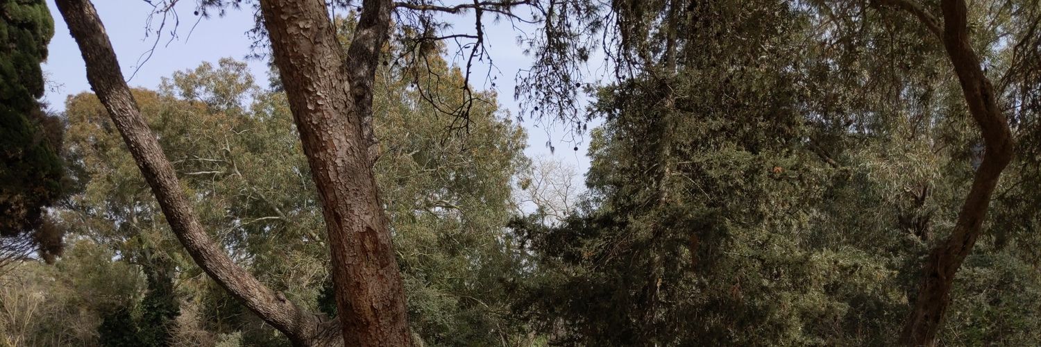nutarmark's profile banner image