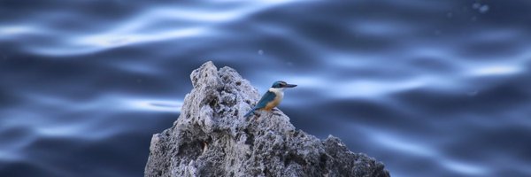 iwilson69 Profile Banner