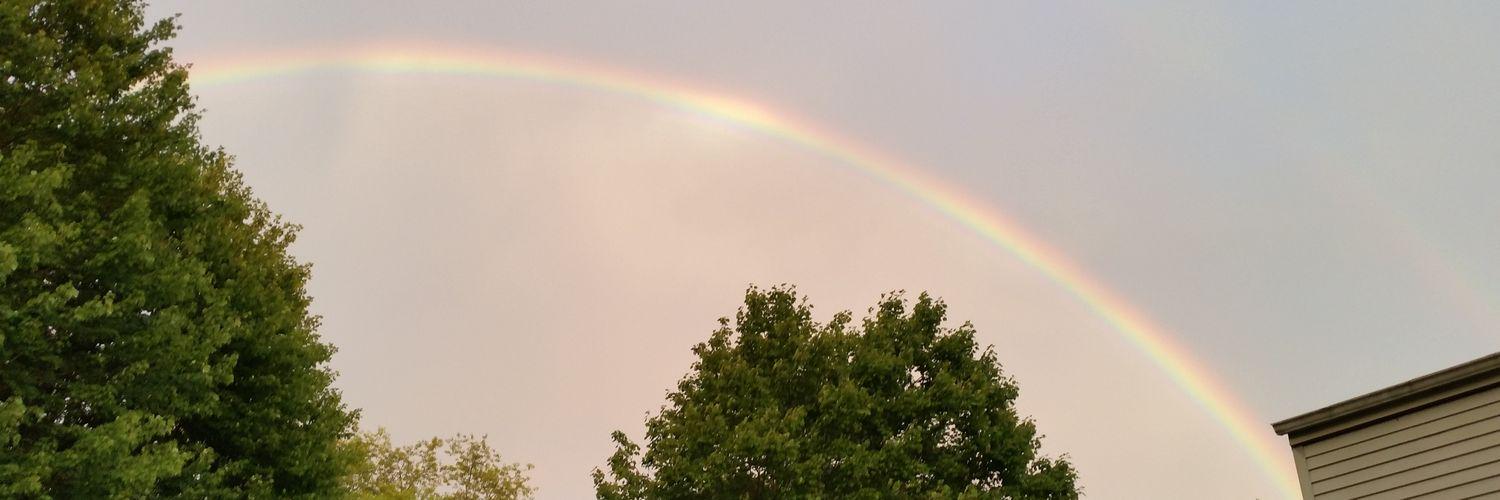 cmw555's profile banner image