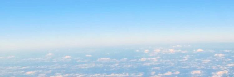 lisavendittelli's profile banner image