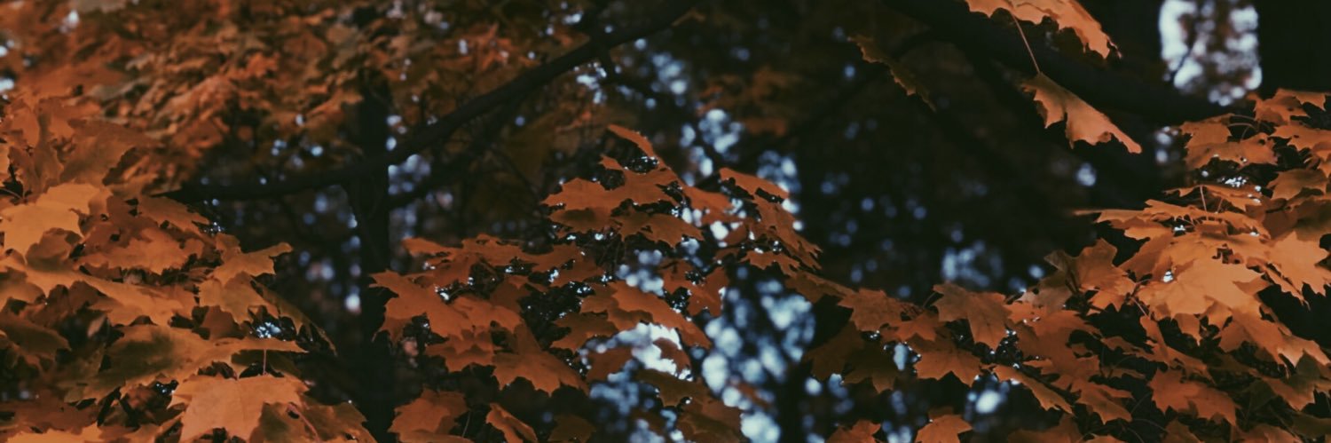 ArishaBoriska's profile banner image